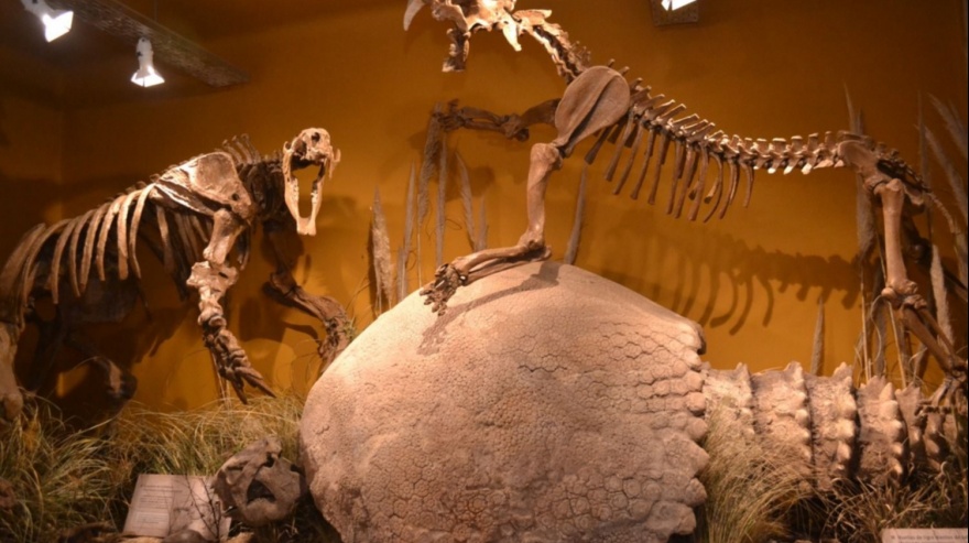 Museo de Ciencias Naturales - sala